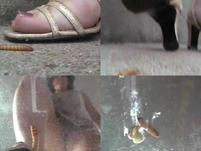 Feet crush bug