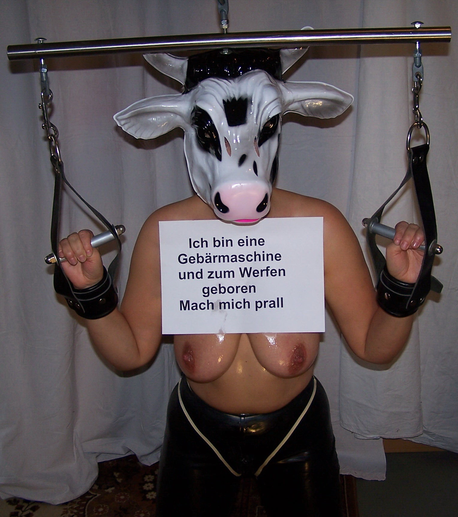 Milk Cows Porn.