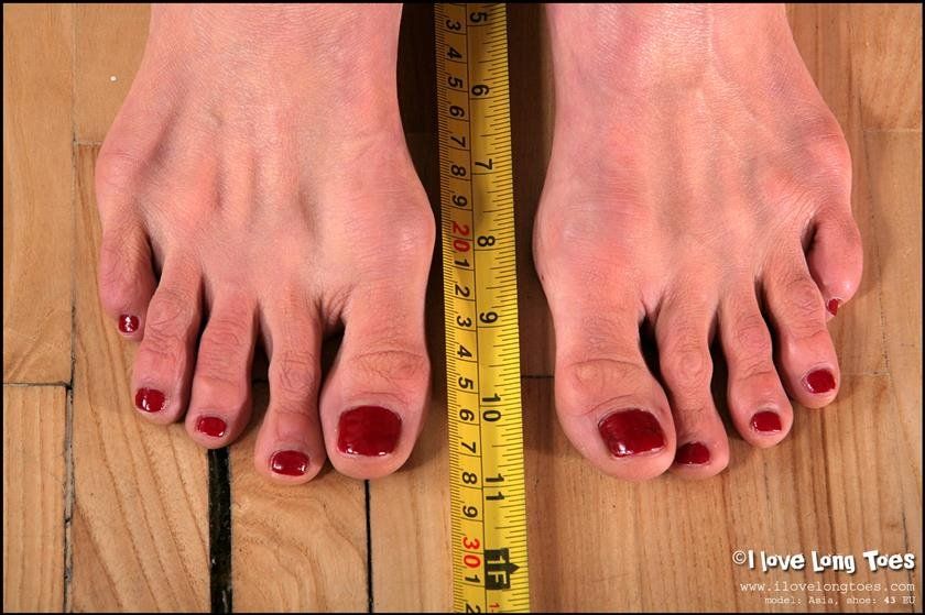 best of Measure feet