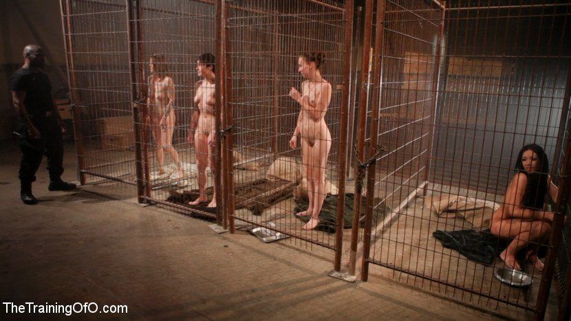 Cage slave