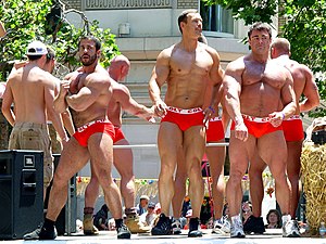 Guys parade swim trunks