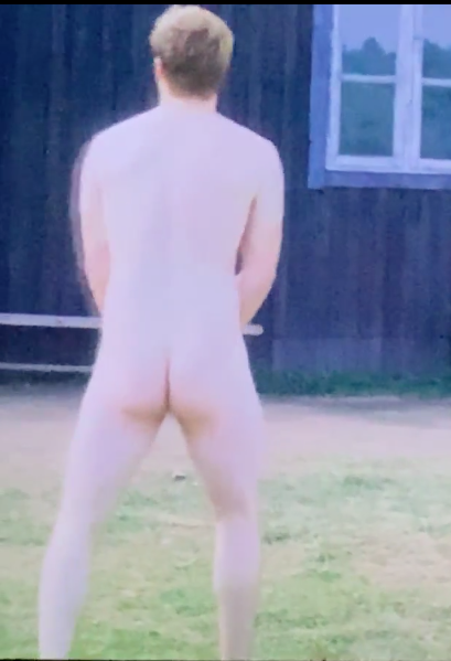 Midsommar movie scene male nude leaked