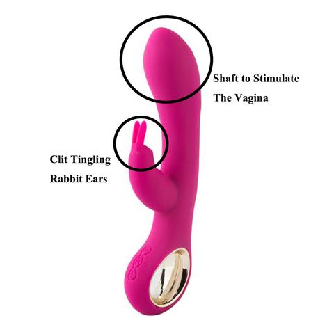 Pussy rabbit vibrator first time Sexy new compilations 100% free. Comments:  1