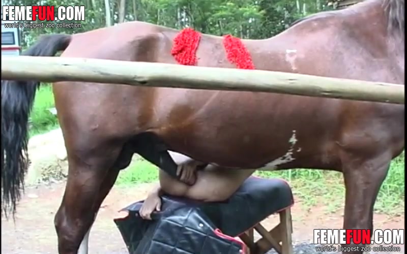 best of Horse using anal with slut cock