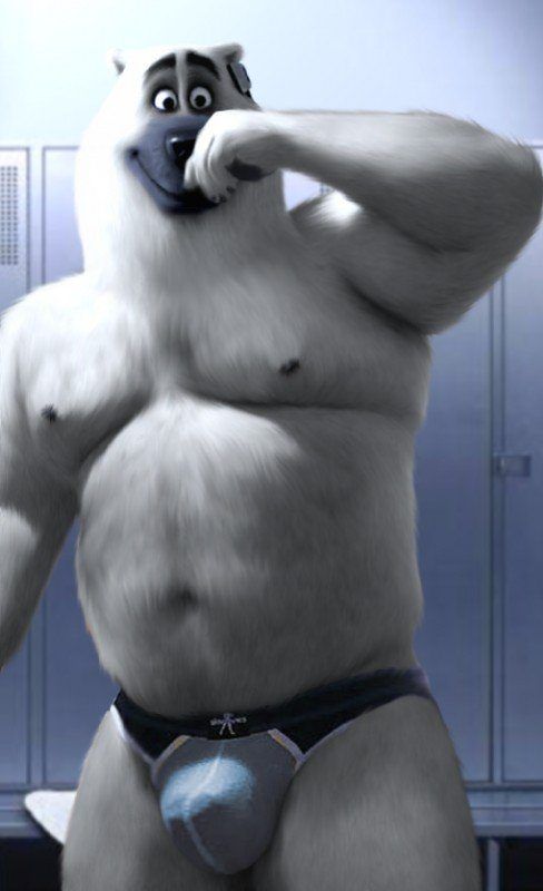 Gay polar bear sex pics