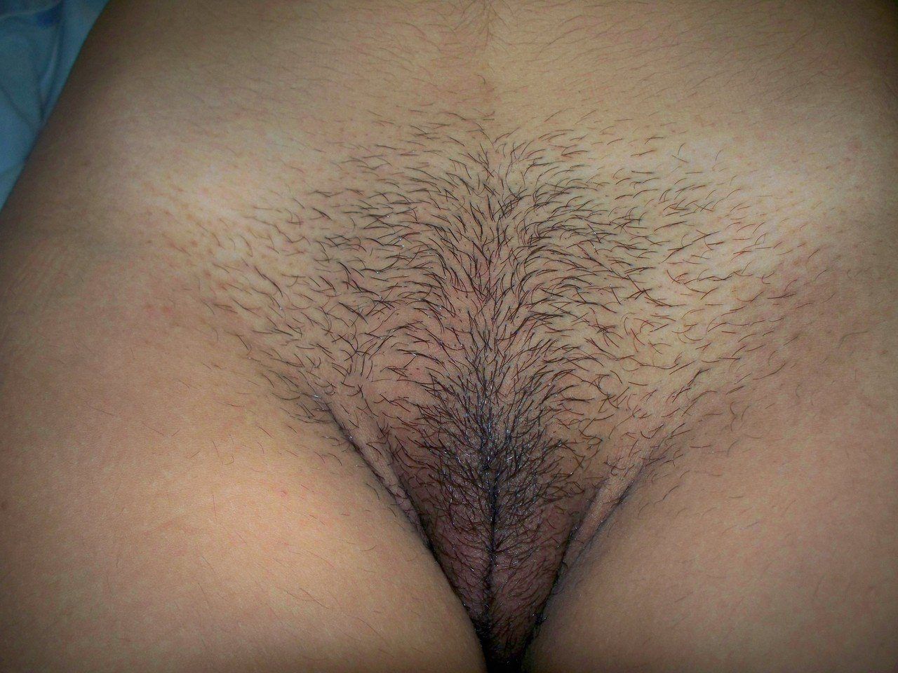 Hair Naked Vagina