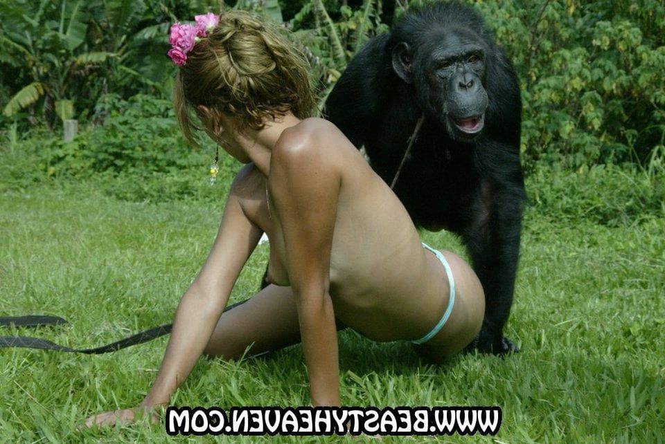 best of Having with female sex monkey