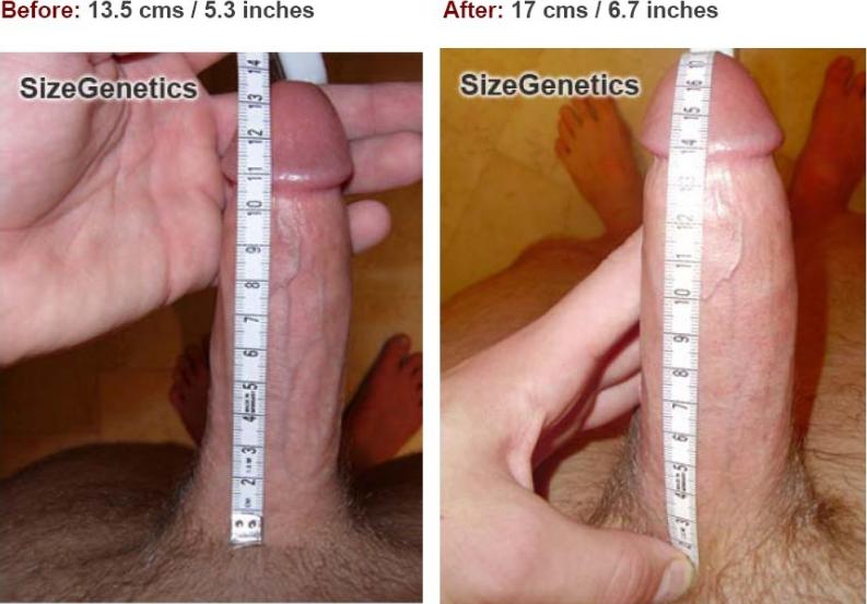 Average penis lenght pictures