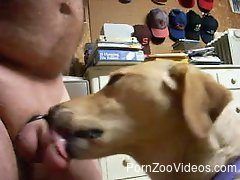 Top porn with dog