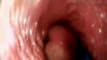 Vagina and penis inside