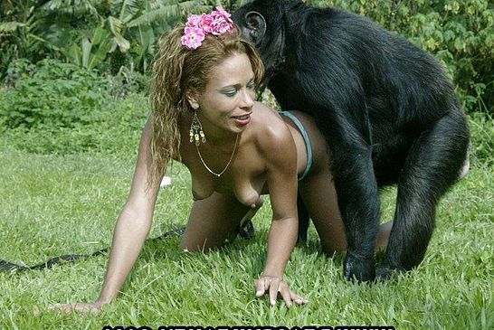 best of With monkey having female sex