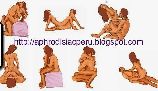 Sex position anatomy