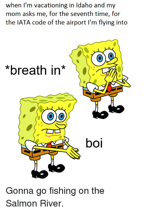 Spongebob niggers meme
