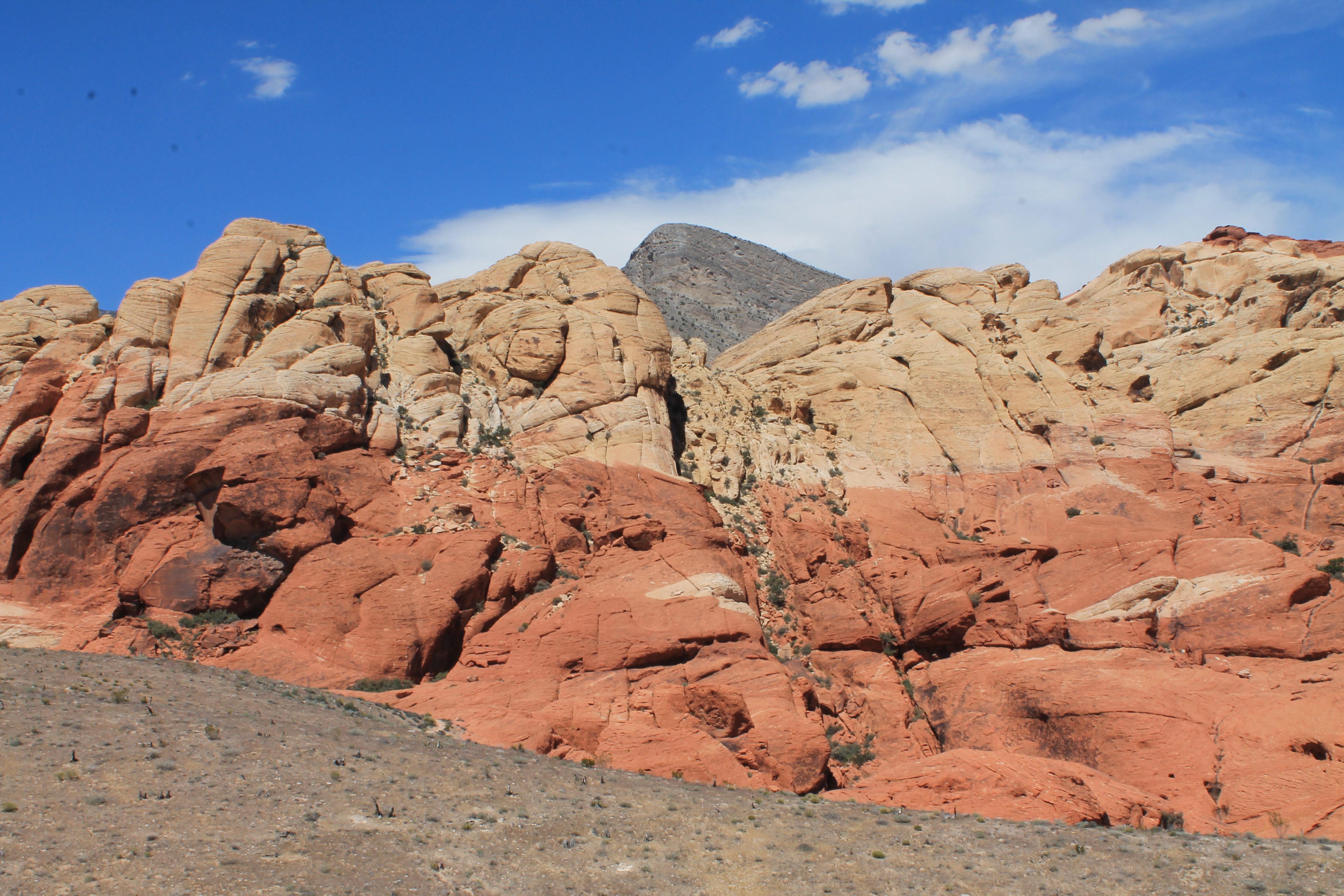 Missy recommendet red rock canyon