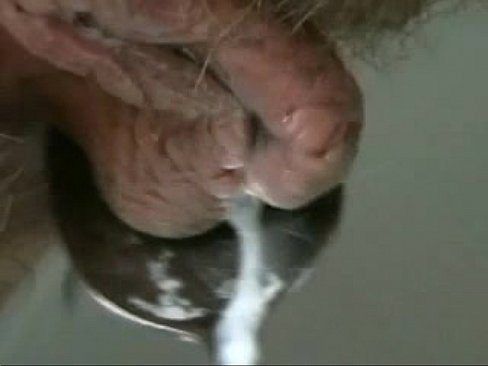 Chardonnay reccomend wet creamy hairy pussy