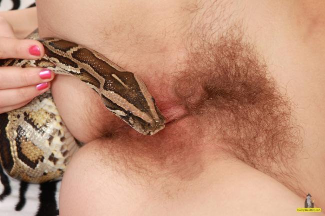 Fendi recommendet pussy inside snake force girl