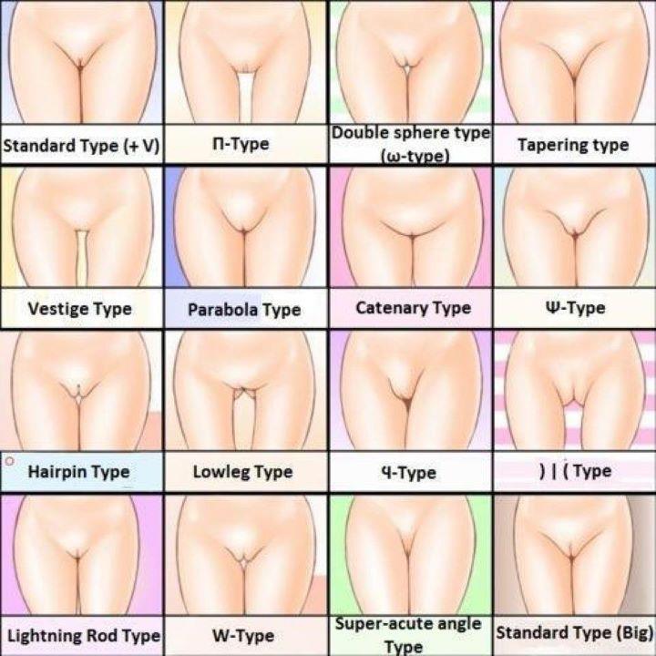 best of Types pussy