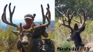 best of Buck Advanced whitetails trophy approach bow mature taking hunting