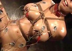 ZB reccomend Mistress male slave bondage