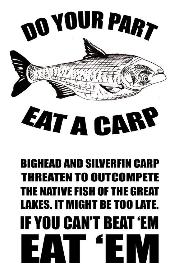 best of Eat Asian carp