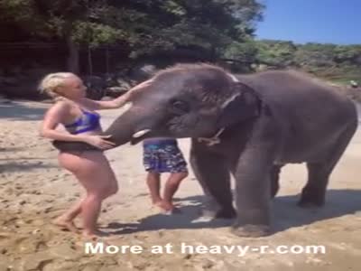 Porn elephant erotic Animal Porn