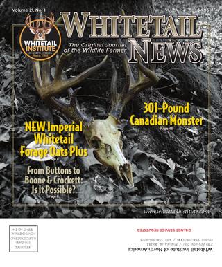 best of Round taking whitetails bow Approach mature hunting year precision