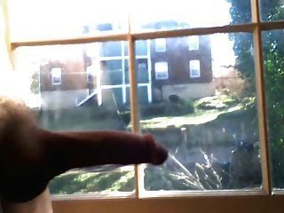 Window peeper