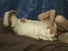best of And sex Goats man pictures porno